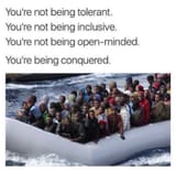 illegals immigration