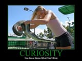 snake curiosity