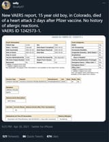 vaccine 53