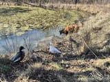 IMG_20250210_140021970_HDR
