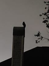 11052024