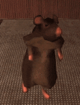 rat-dance