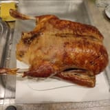 my_barbary-duck