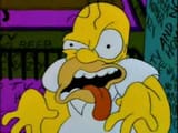homer-twich