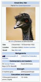 emu-war-australia-kneels