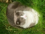 IMG_20250415_151426512