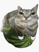 1741527183090532