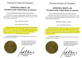 Fauci &amp; Milley pardons by crooked Biden