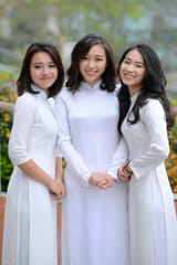 3fc607bd10827a23185a60253d0e4873