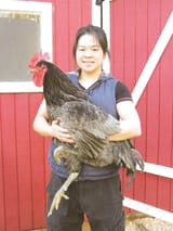 asian_holding_giant_cock
