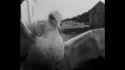 TOTAL BIRD DEATH_thumb.jpg