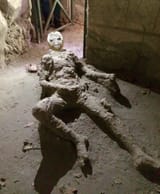 Coomer_of_Pompei