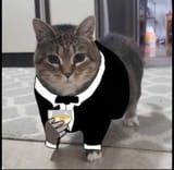 1739193151611823