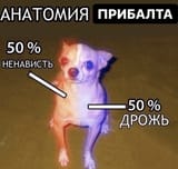1529503020593