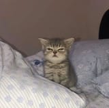 1709253132108763m