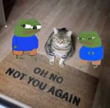 3966