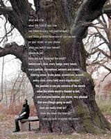 hyeits oak