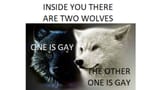 inside_you_there_are_two_wolves-367251470