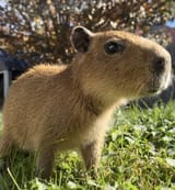 images - 2025-06-18T174857.380