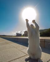 god5
