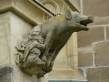 Wimpfen stifts kirche judensau