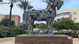 cyberhorse albert einstein uni tel aviv