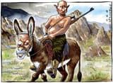 Donkey