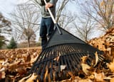 raking-3