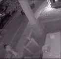Indian migrant invader going around and stealing candy meant for kids on Halloween in Markham_thumb.jpg