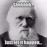 Darwinshhh