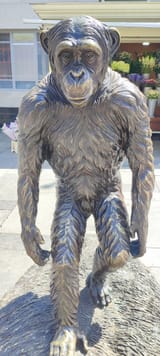 IMG_20250618_125019