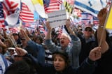 Shabbos fuckign Goyim