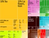 Kenya_Export_Treemap
