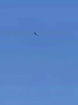 IMG_20250618_172232_759
