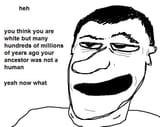 1737131105984089