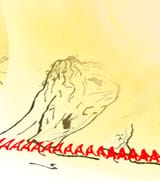 summer wojak