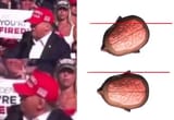Trump-shot-bullet-path