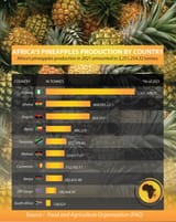 avf-food-ranings-pineapple