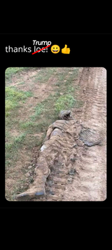 30yoboomer_20250617_055629