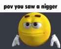 pov_you_saw_a_nigger_thumb.jpg
