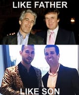 trump epstein tate