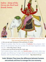 beef-and-indra (1)