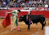 Cows Are Special