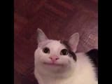 1743025092613572