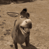 donkey-smile