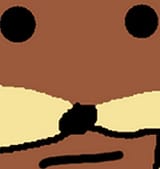 21564323523