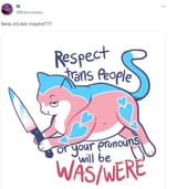 Trans pronouns was were 