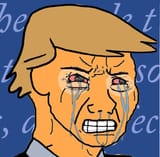 crying trump wojak