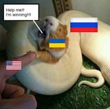 1698490161008501