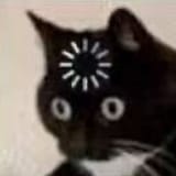 1747953576523504